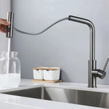 Multifunctional Flexible Faucet